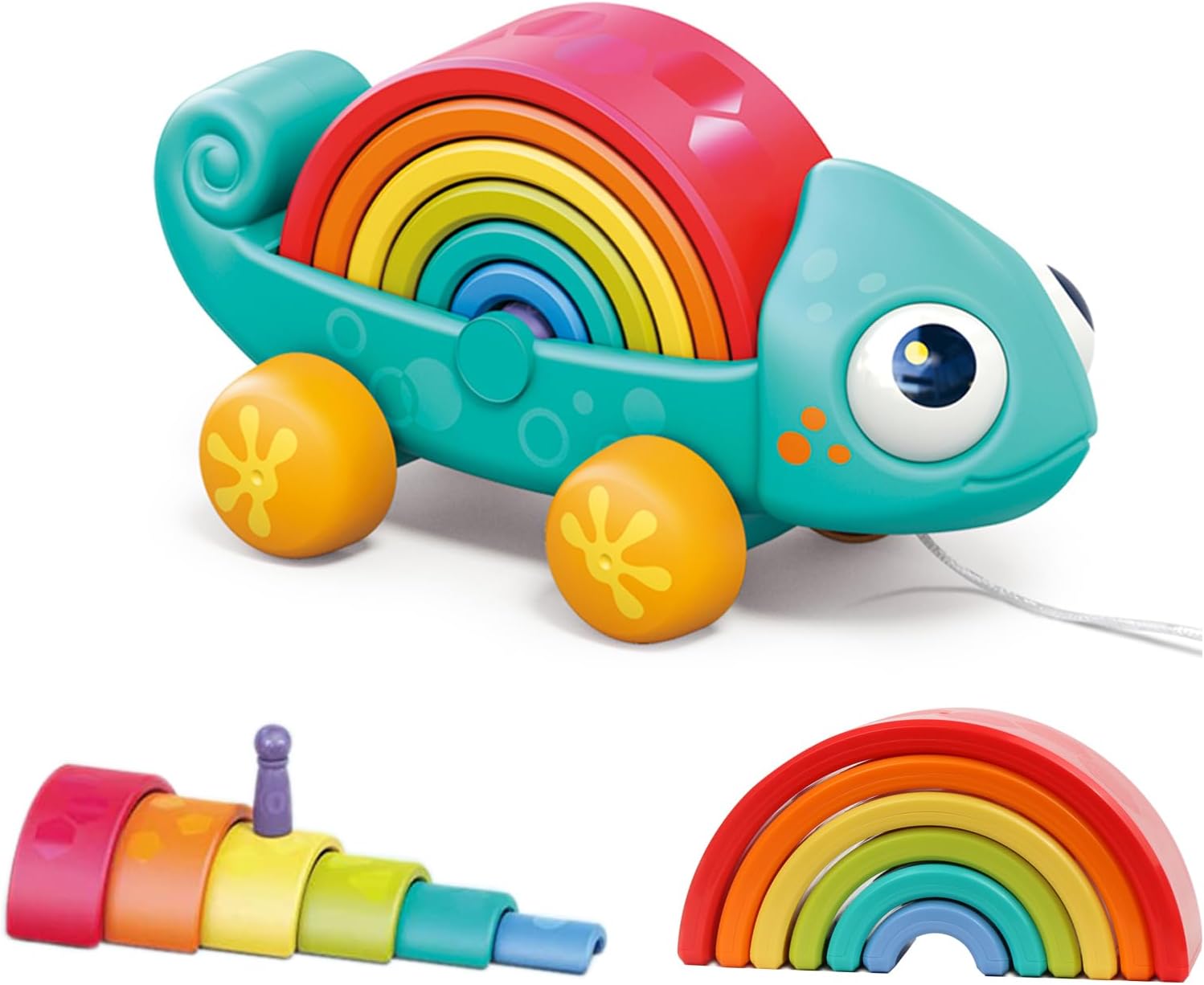 Rainbow Chameleon