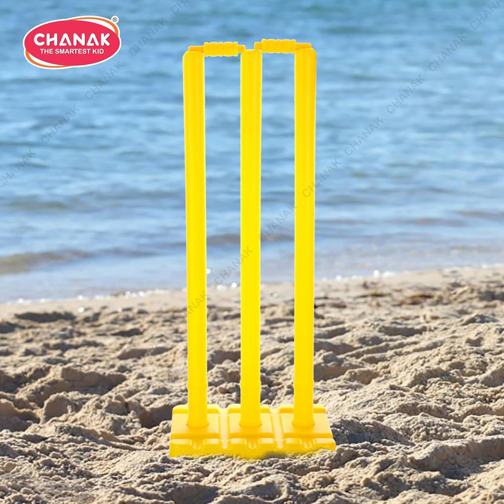 Big Cricket Stumps Kit