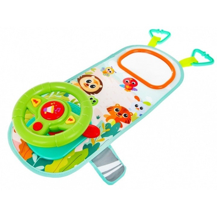 Car Steering Wheel